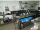 Cromer NSW 2099