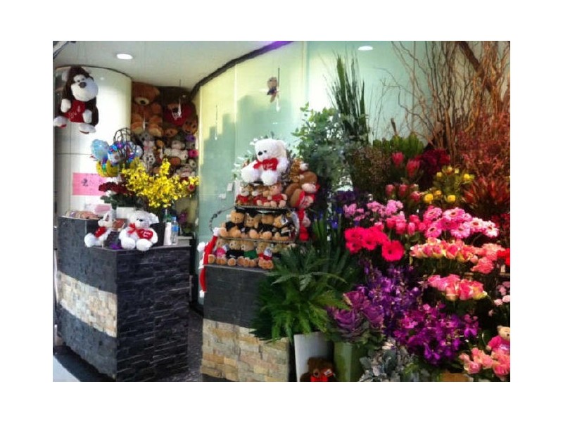 Dawes Point NSW 2000