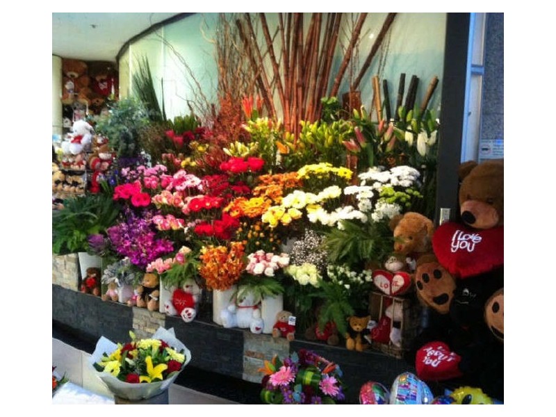 Dawes Point NSW 2000