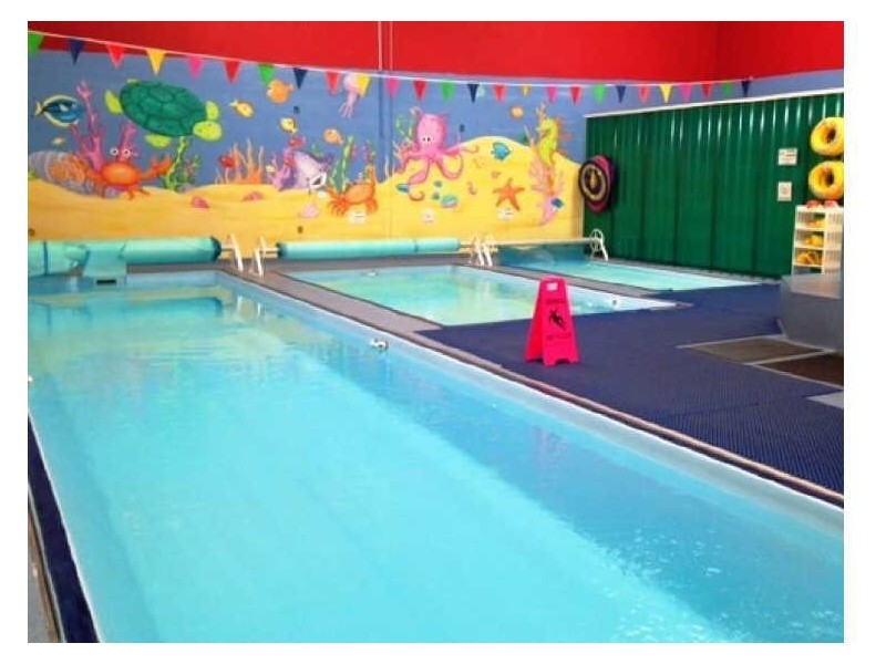 Bee Safe 2/24 Bee Safe Daniel St, Horsley Park NSW 2175