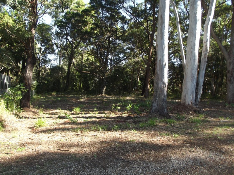 5 Brolga Street, Macleay Island QLD 4184