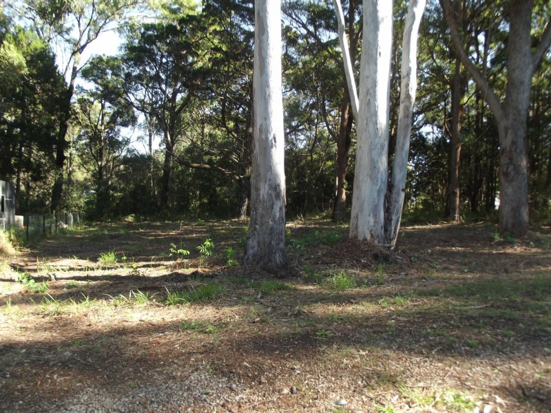 5 Brolga Street, Macleay Island QLD 4184