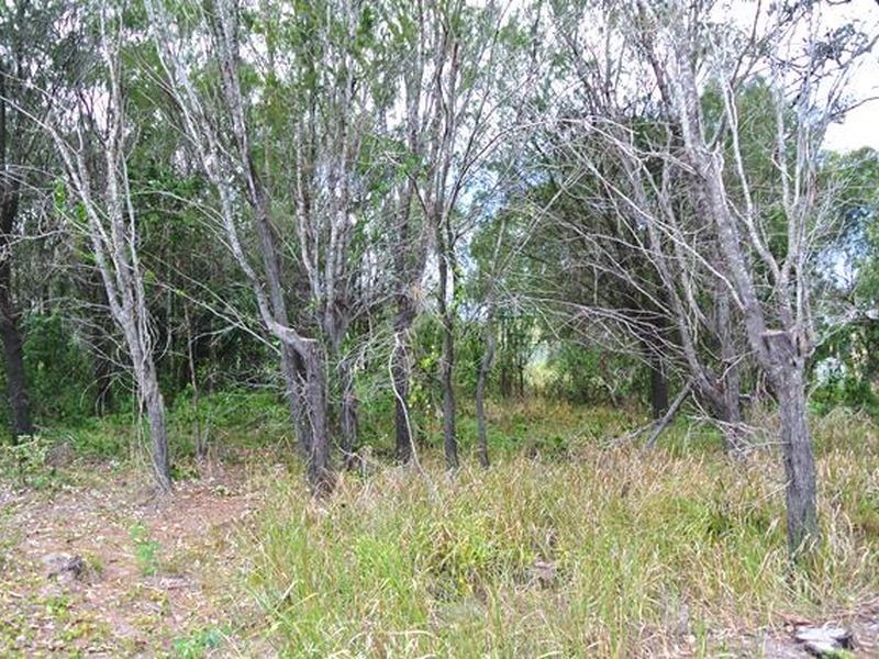 30 Camena Street, Macleay Island QLD 4184