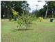 1 Charles Terrace, Macleay Island QLD 4184