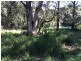 13 Devaney Street, Macleay Island QLD 4184
