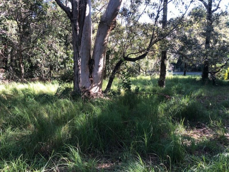 13 Devaney Street, Macleay Island QLD 4184