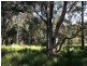 13 Devaney Street, Macleay Island QLD 4184