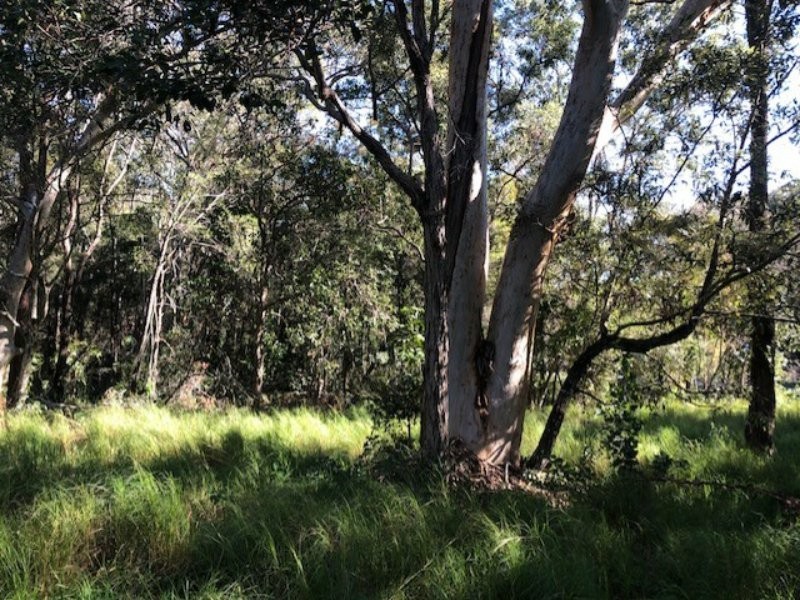 13 Devaney Street, Macleay Island QLD 4184