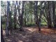 18 Hilda Crescent, Macleay Island QLD 4184