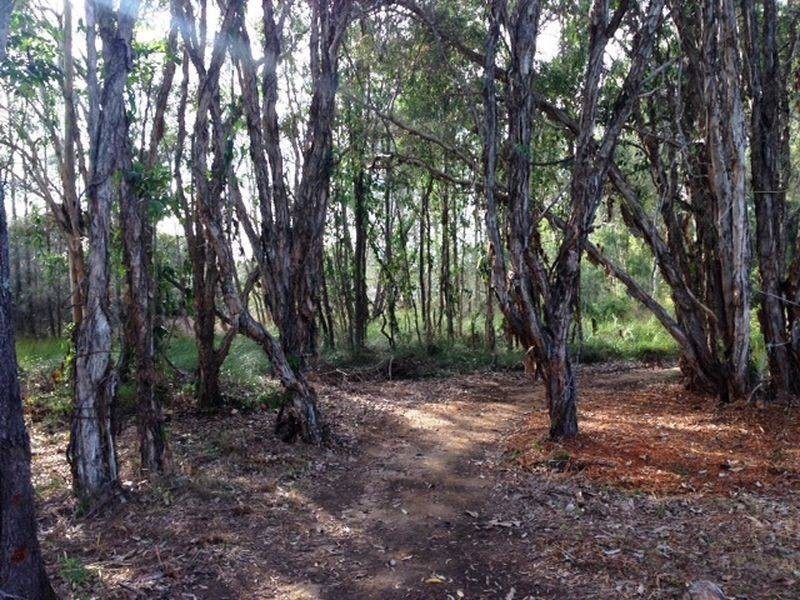 18 Hilda Crescent, Macleay Island QLD 4184