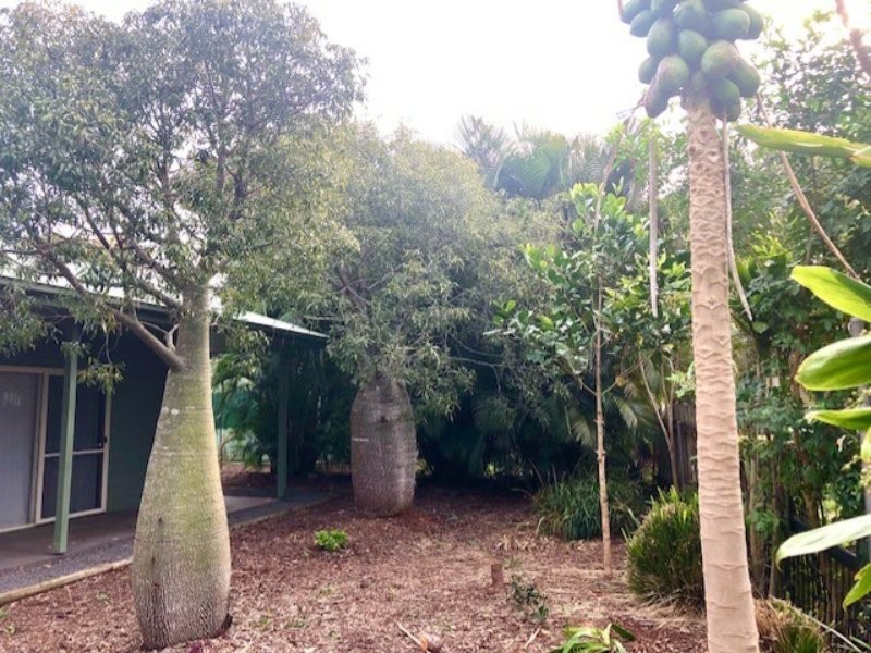 125 Treasure Island Avenue, Karragarra Island QLD 4184