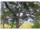 126-128 Treasure Island Avenue, Karragarra Island QLD 4184