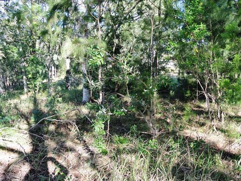 28 Morwong Street, Macleay Island QLD 4184