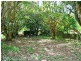 7 Mango Crescent, Macleay Island QLD 4184