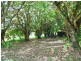 7 Mango Crescent, Macleay Island QLD 4184