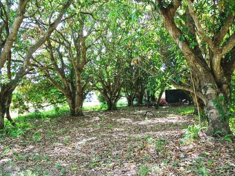 7 Mango Crescent, Macleay Island QLD 4184