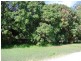 7 Mango Crescent, Macleay Island QLD 4184