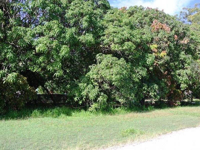 7 Mango Crescent, Macleay Island QLD 4184