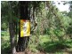 45 Arthur Street, Macleay Island QLD 4184