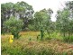 21 Lemontree Drive, Macleay Island QLD 4184