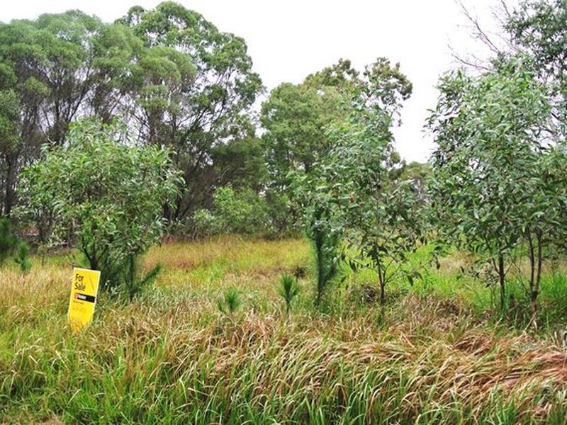 21 Lemontree Drive, Macleay Island QLD 4184