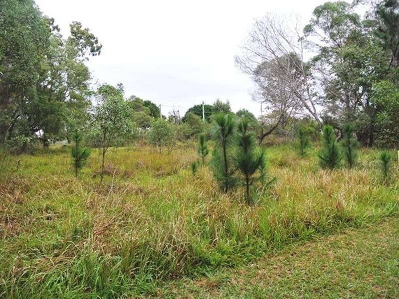 21 Lemontree Drive, Macleay Island QLD 4184