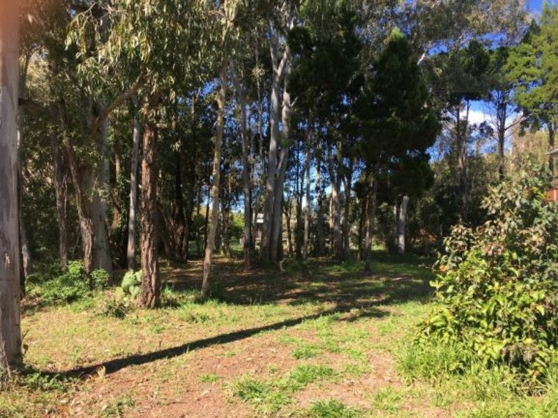 45 Charles Terrace, Macleay Island QLD 4184