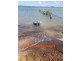 Lot 52 & 5 Kate Street, Macleay Island QLD 4184