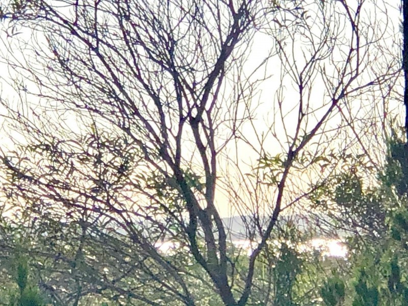 58 Treasure Island Avenue, Karragarra Island QLD 4184