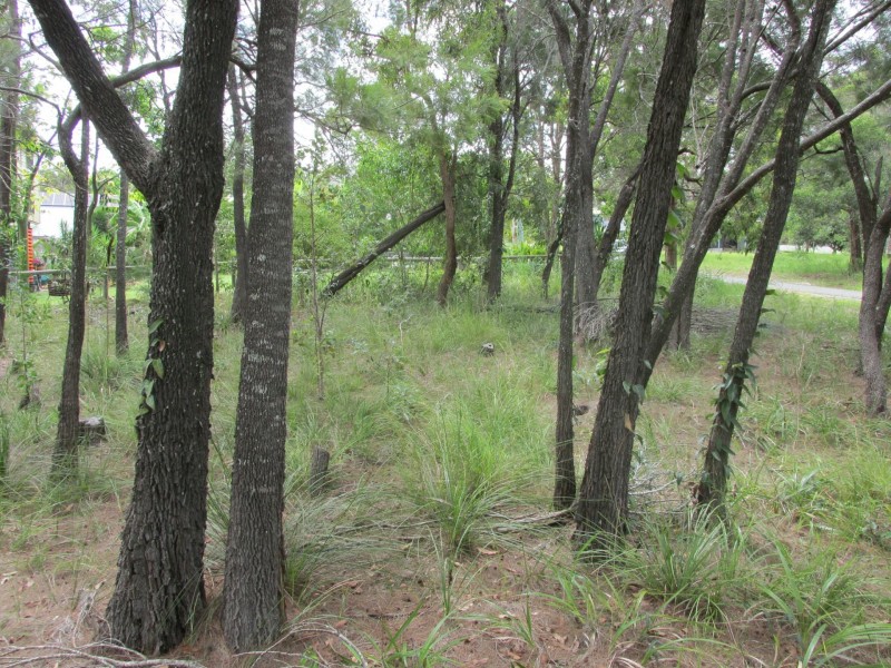 10 Emita Street, Macleay Island QLD 4184