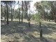 10 Emita Street, Macleay Island QLD 4184