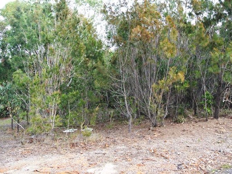26 Leanne Street, Macleay Island QLD 4184