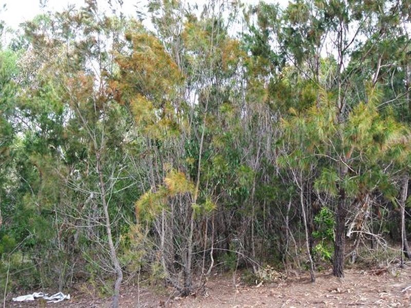 26 Leanne Street, Macleay Island QLD 4184