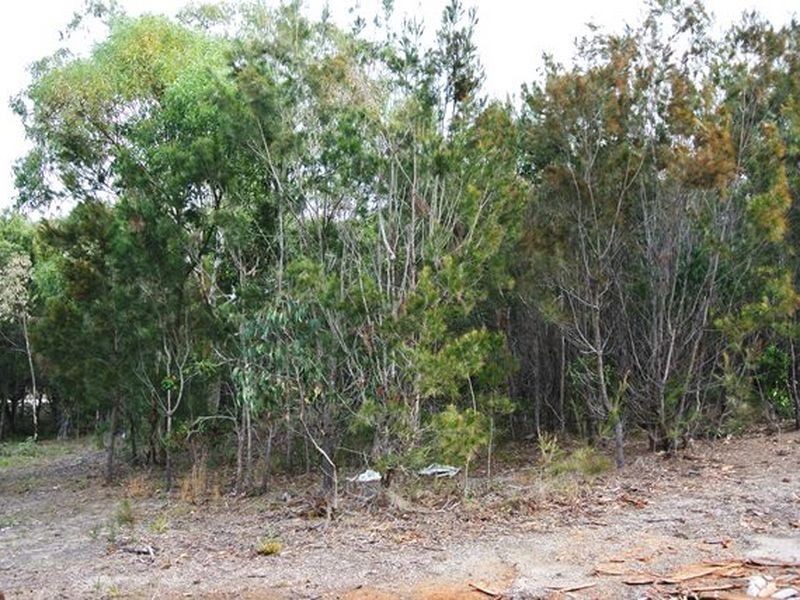 26 Leanne Street, Macleay Island QLD 4184