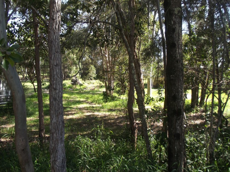 67 Coondooroopa Drive, Macleay Island QLD 4184