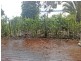 9 Pacific Street, Lamb Island QLD 4184