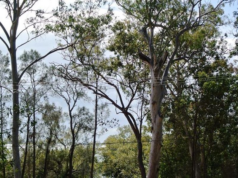 30 Blue Bay Crescent, Macleay Island QLD 4184