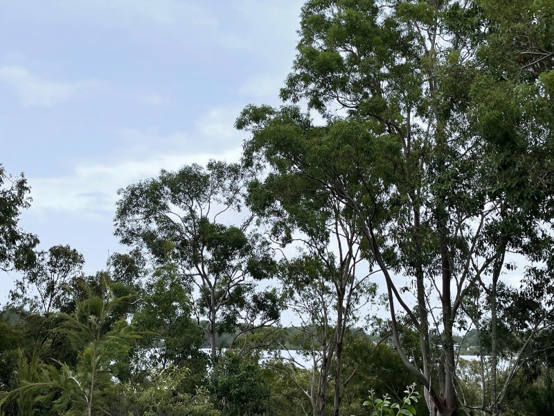 40 Calm Waters Crescent, Macleay Island QLD 4184