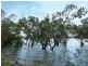 40 Calm Waters Crescent, Macleay Island QLD 4184