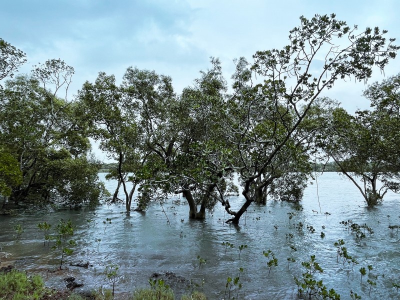 40 Calm Waters Crescent, Macleay Island QLD 4184