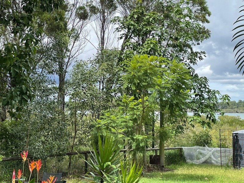 5 Emita Street, Macleay Island QLD 4184