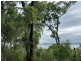 42 Mawarra Street, Macleay Island QLD 4184