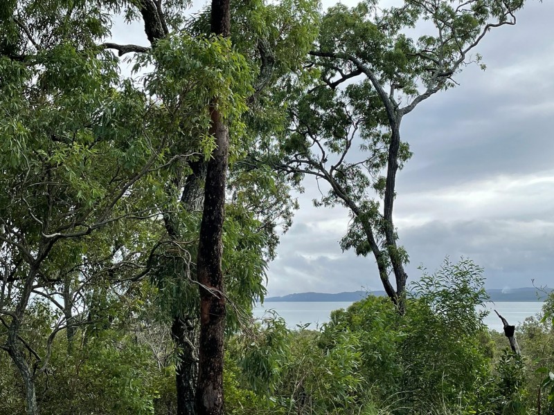 42 Mawarra Street, Macleay Island QLD 4184