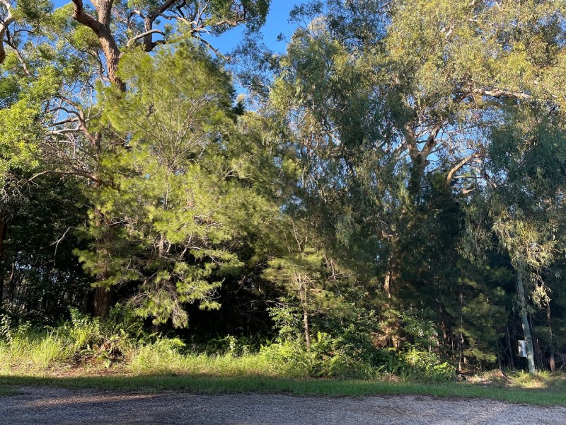 6 Garnet Street, Macleay Island QLD 4184