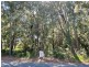 20 Alexander Street, Macleay Island QLD 4184