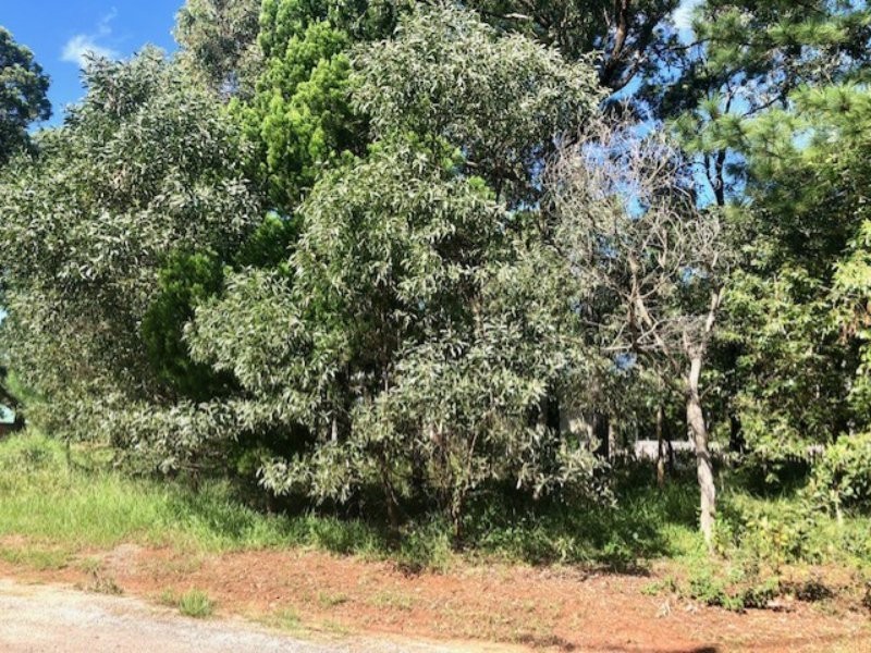 11 Cooee Street, Macleay Island QLD 4184