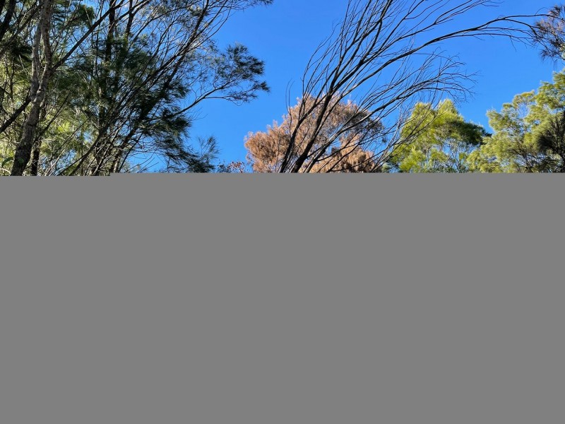 16 Emita Street, Macleay Island QLD 4184