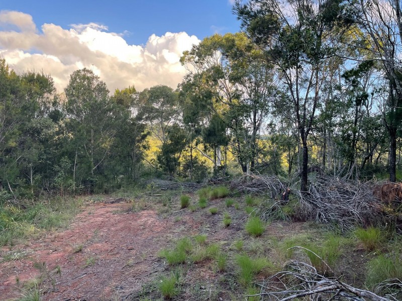 16 Emita Street, Macleay Island QLD 4184