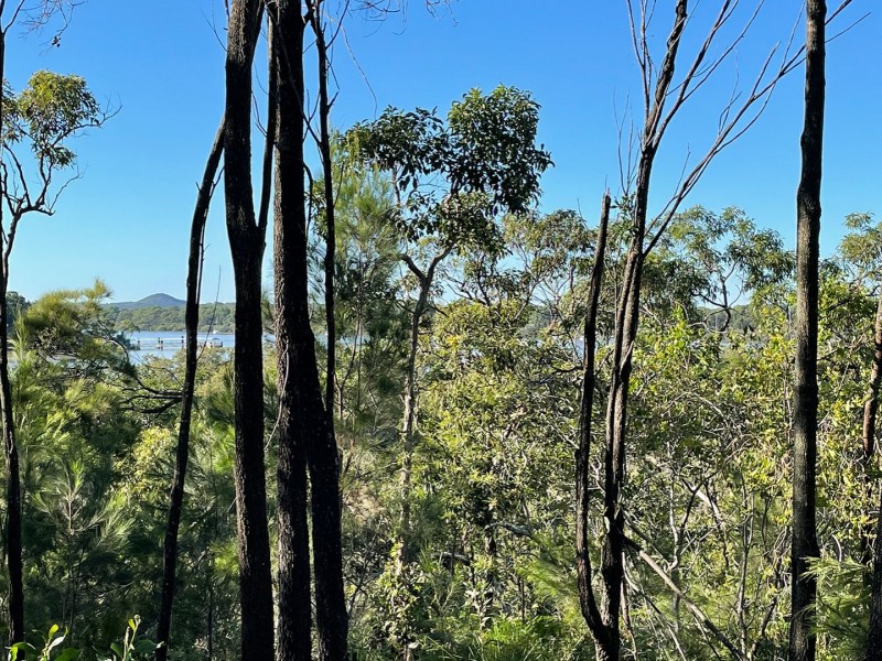 16 Emita Street, Macleay Island QLD 4184