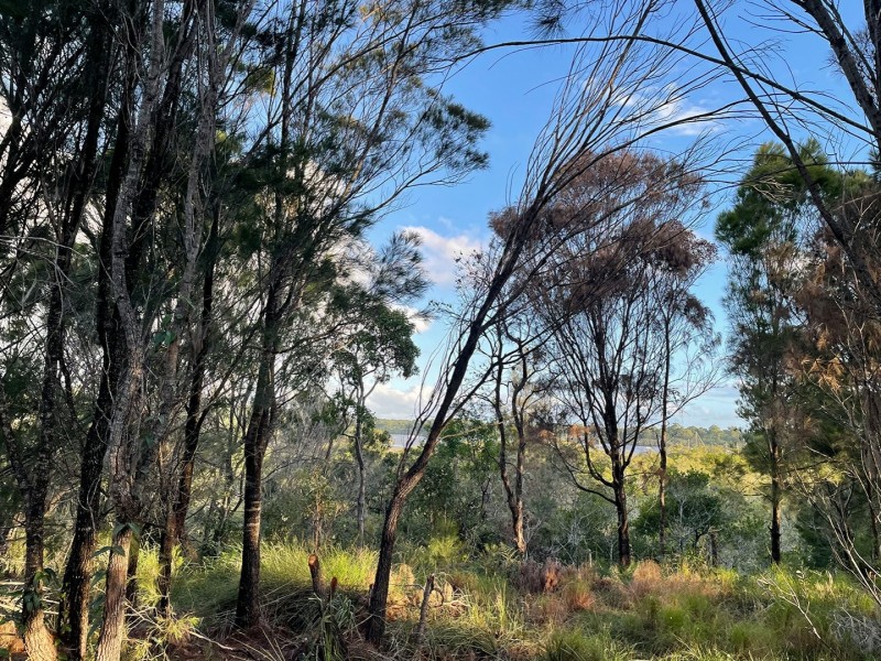 16 Emita Street, Macleay Island QLD 4184